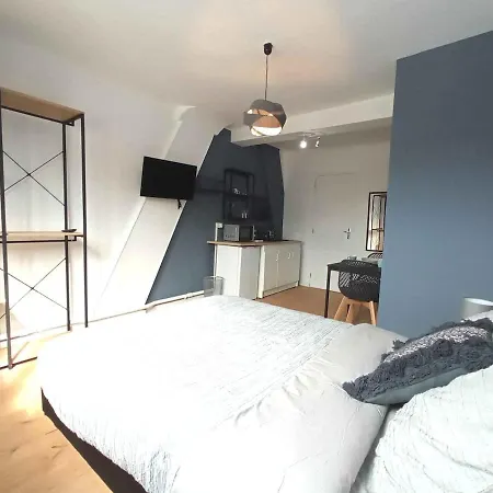 Spacieux Avec Baignoire Wifi Gratuit Appartement