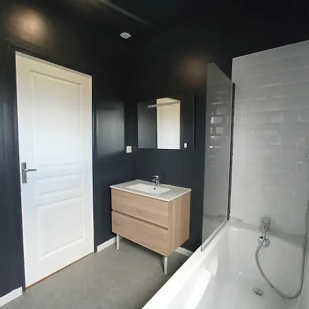 Spacieux Avec Baignoire Wifi Gratuit Appartement Roubaix
