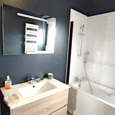 Apartment Spacieux Avec Baignoire Wifi Gratuit Roubaix