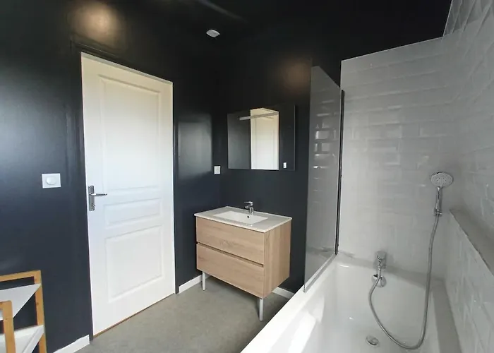 Spacieux Avec Baignoire Wifi Gratuit Appartement Roubaix