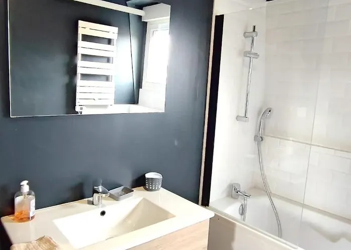 Appartement Spacieux Avec Baignoire Wifi Gratuit Roubaix